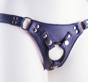 Prince Jag Harness