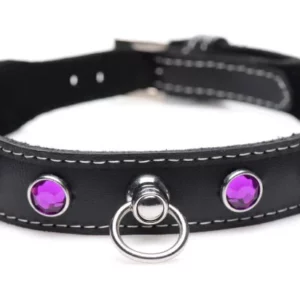 Royal Vixen Leather Choker